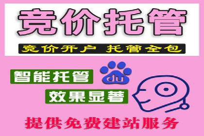 竞价代运营的成果展示：某公司广告效果显著提升的秘诀